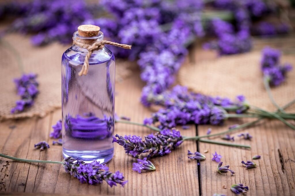 Источник фото - https://goo.su/pesGPb