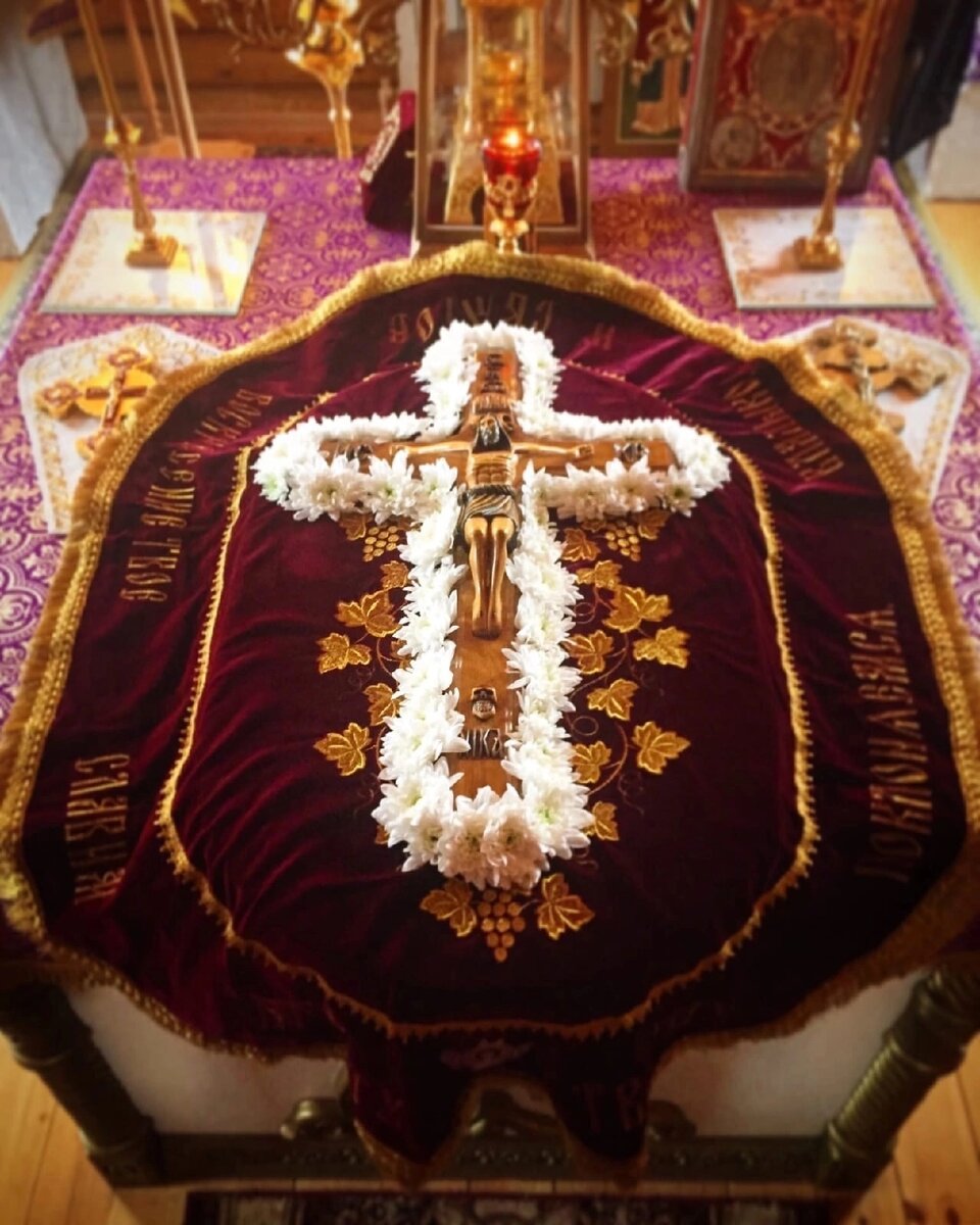 понос водой и тошнота