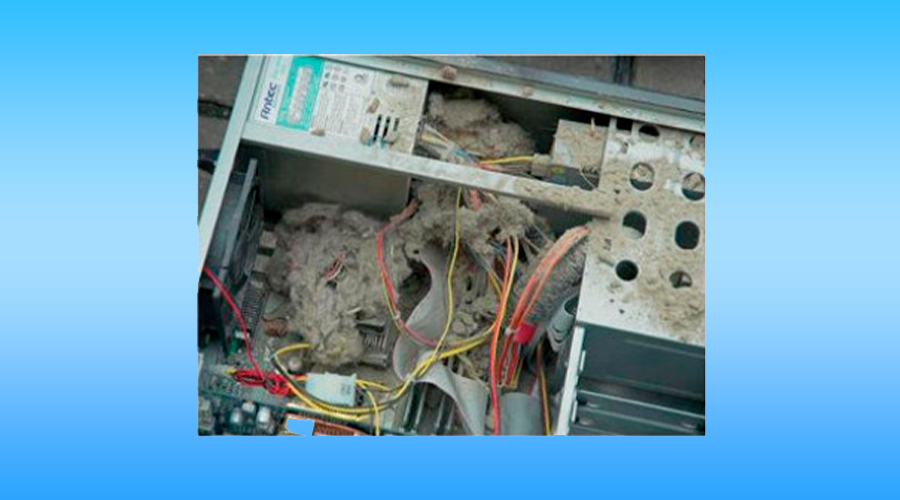 На картинке пыль забившая компьютер