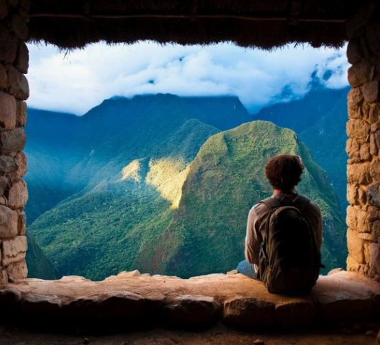 Живые и неживые предметы для дошкольников. Урок живое и неживое. Экология для дошкольников. Группы животных. Окружающий мир группа.