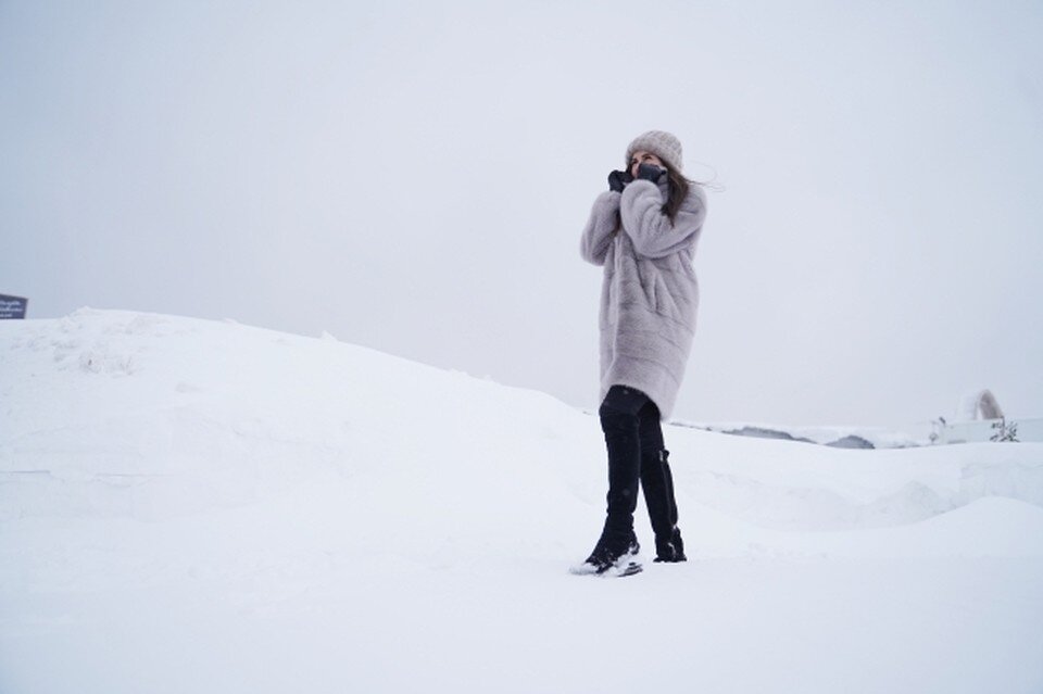 зимняя буря. лес в тумане. мгла фильм 2007. мгла фильм 2007. опустилась ночь и снова мгла окружила.