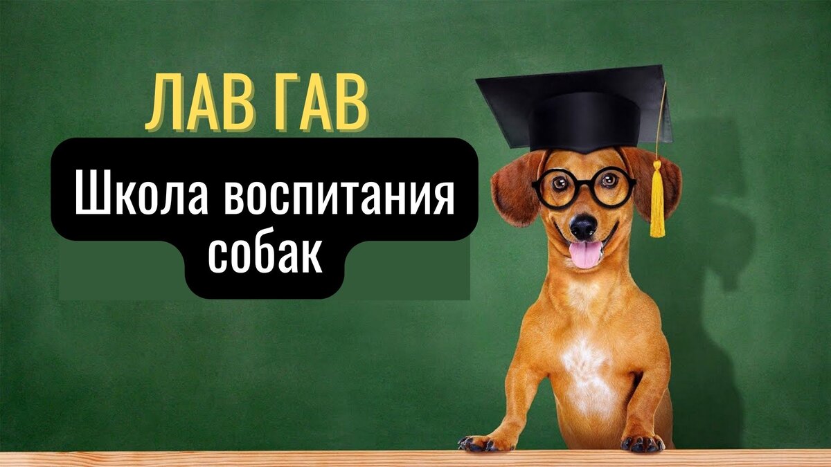 Обучение модификации поведения. Обучение модификации поведения