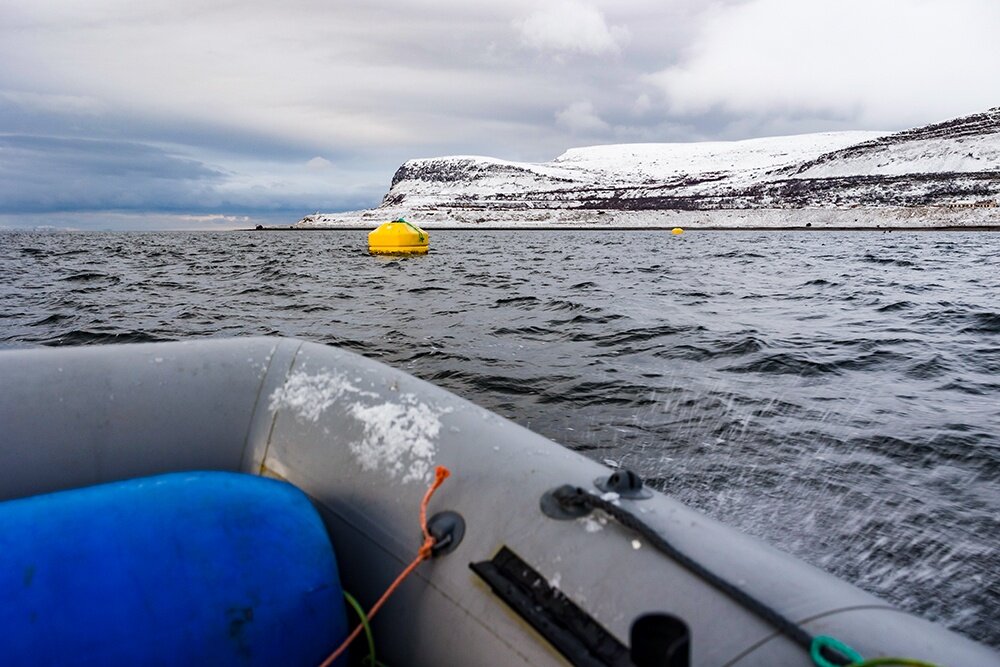    Дмитрий Дубов/РИА Новости