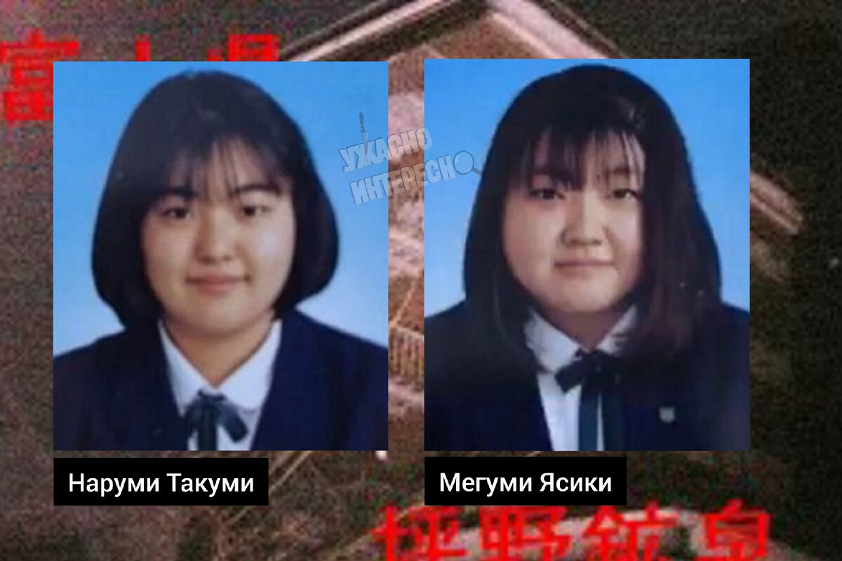 Пропавшие школьницы, иллюстрация автора