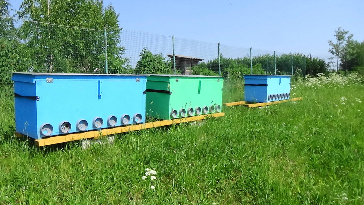 Ульи на увеличенную рамку