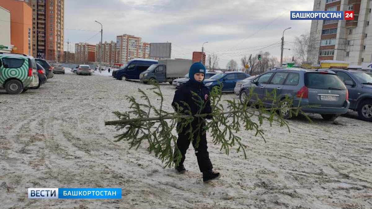    В Уфе стартовала послепраздничная акция "Елки в щепки"