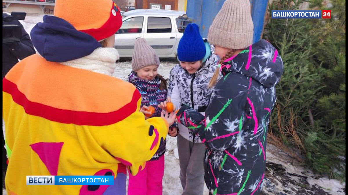    В Уфе стартовала послепраздничная акция "Елки в щепки"