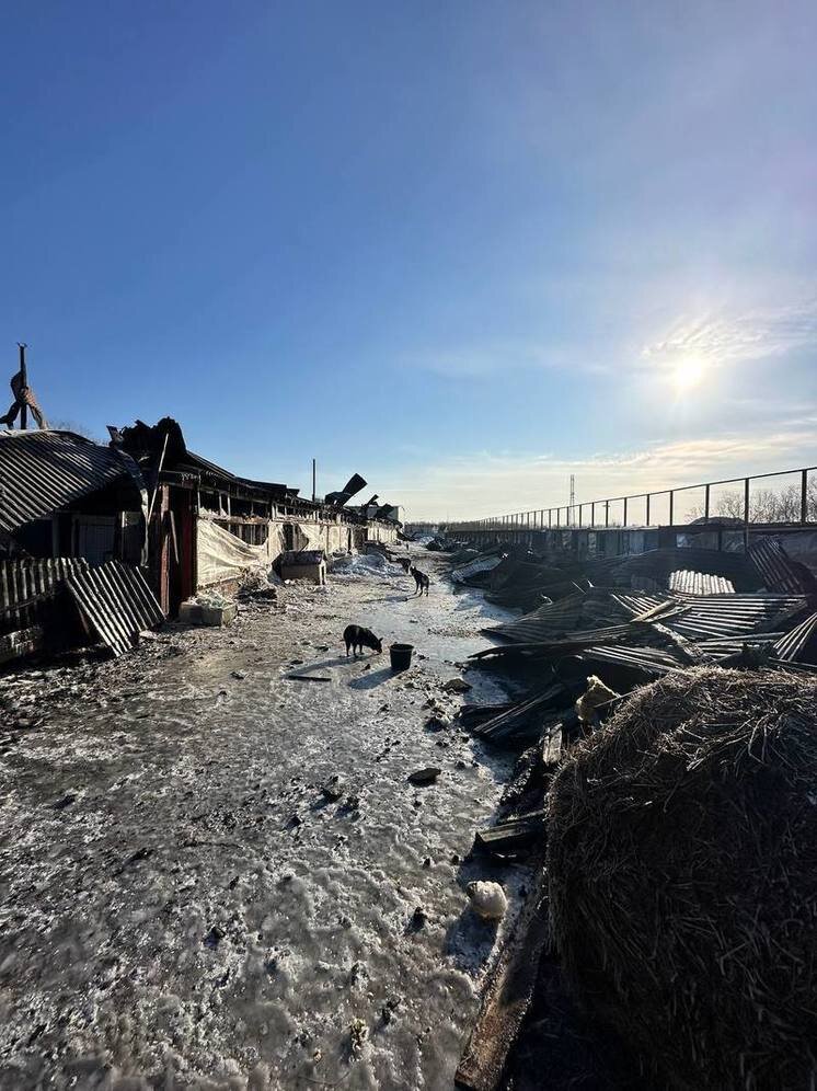 россия, сахалинская область, южно-сахалинск, улица ленина, 220. расписание электричек южно сахалинск долинск. южно сахалинск дубль. южно сахалинск дубль. азс в южно сахалинске.