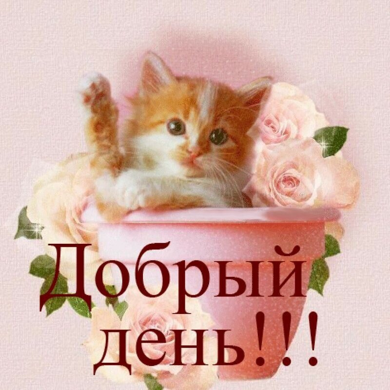 Привет