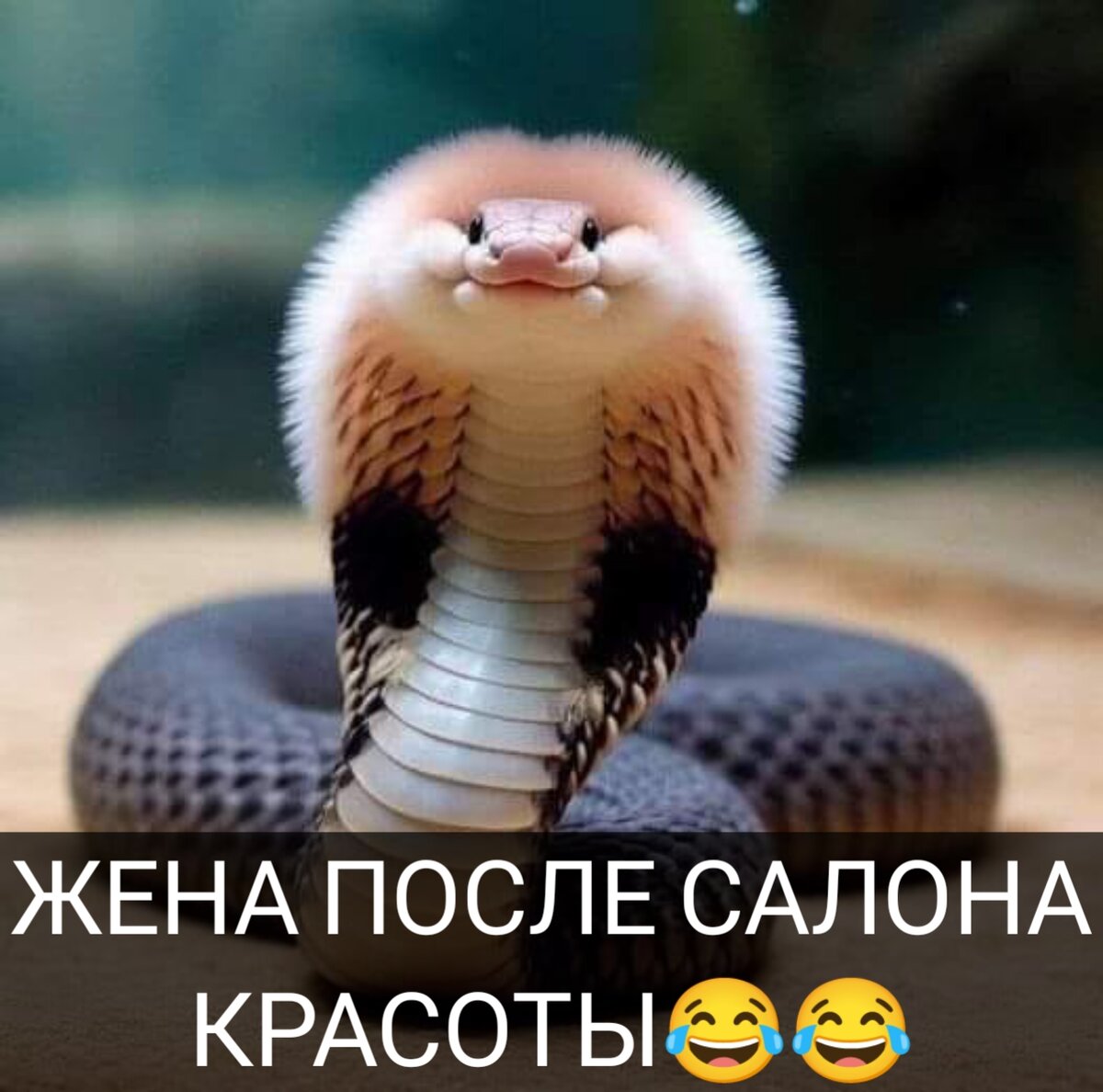 Предложить вашему вниманию новую. Уважаемые партнеры. Предложить вашему вниманию новую. Представляем вашему вниманию человека. Предлагаем вашему вниманию.