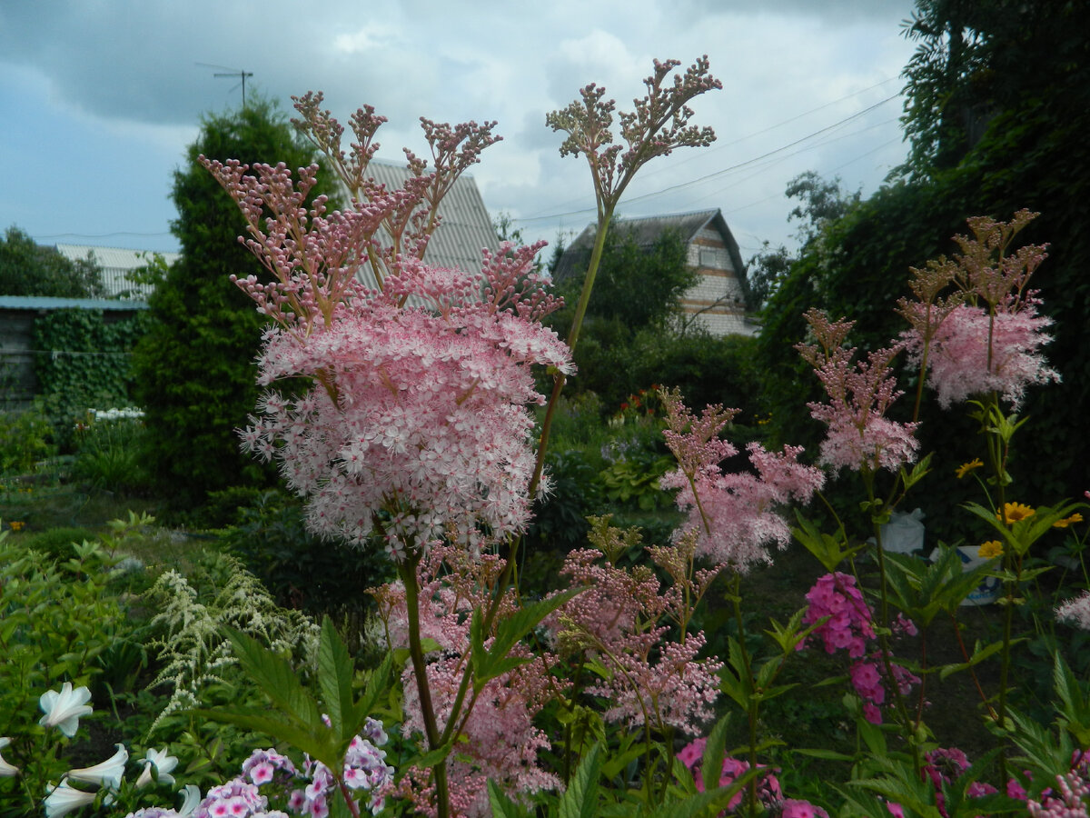 Есть ли у тебя любимые растения напиши. Гдз по окружающему миру 3 класс рабочая тетрадь плешаков страница 48. Есть ли у тебя любимые растения напиши. Есть ли у тебя любимые растения напиши. Окружающий мир 3 класс рабочая тетрадь 1 часть плешаков стр 48-49.