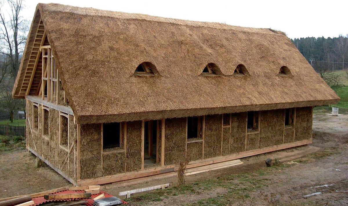 Фото Яндекс картинки 