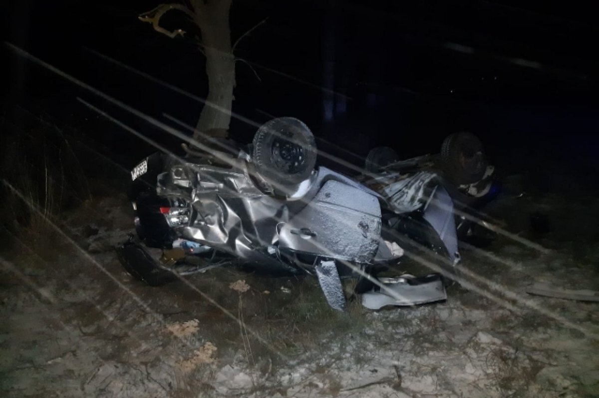    Начинающий водитель со Ставрополья въехал в дерево и погиб