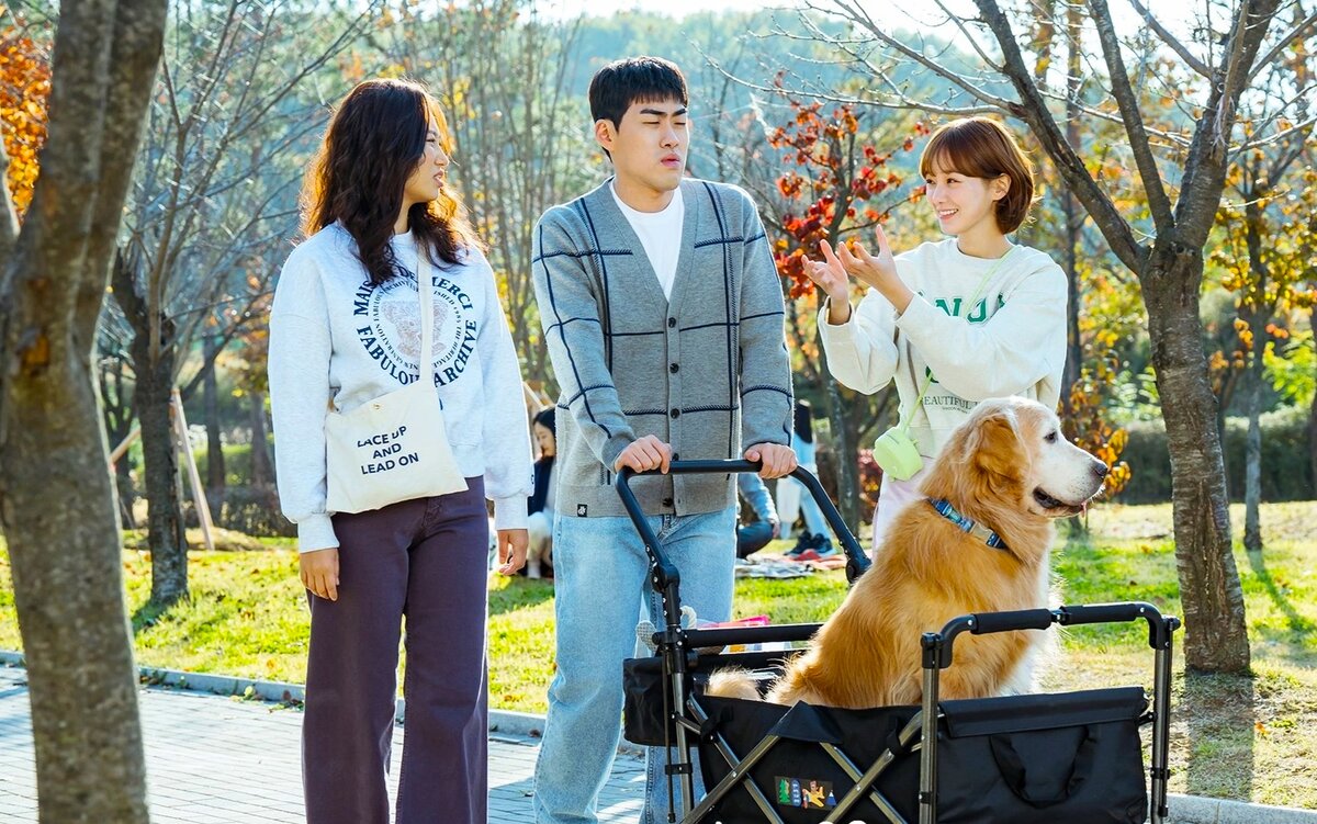 дорама хороший день чтобы стать собакой 5. дорама хороший день чтобы стать собакой 5. дорама хороший день чтобы стать собакой 5. день собак дорама. дорама хороший день чтобы стать собакой 5.