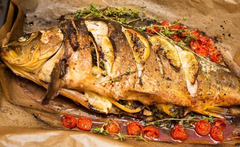 Фото с сайта: https://activefisher.net