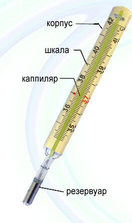 Описание работы ртутного градусника