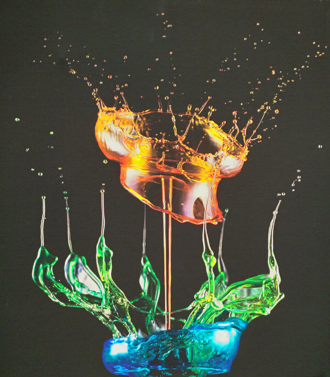 "Плотоядное растение", Сергей Толмачев, из экспонатов выставки "Застывшая карамель"