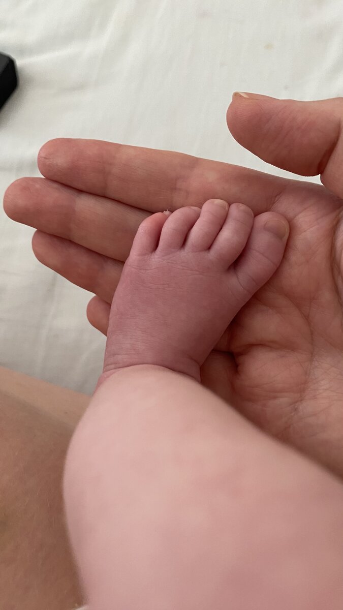 Самые первые фотографии