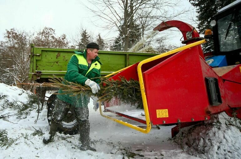   Сергей Ведяшкин / АГН Москва