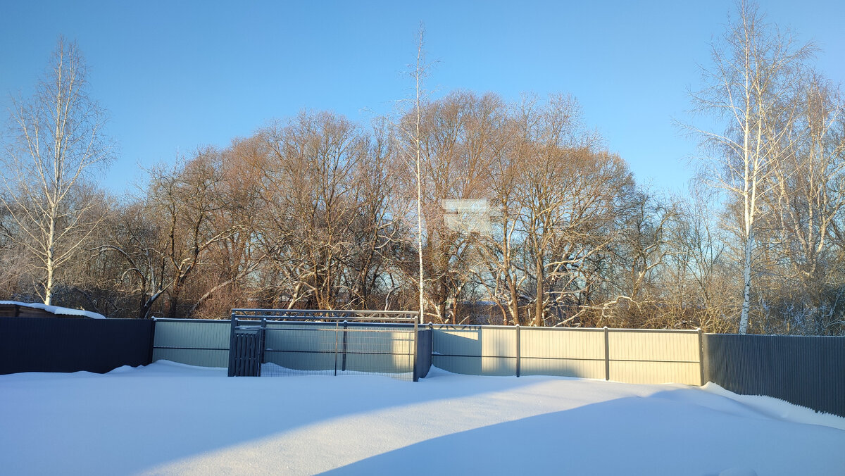 Мороз и солнце. Вид из окна дома у детей