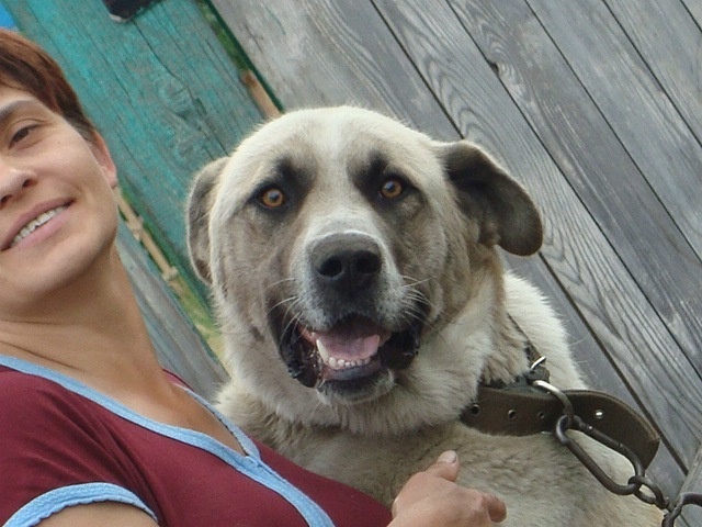 Граф ушёл на радугу