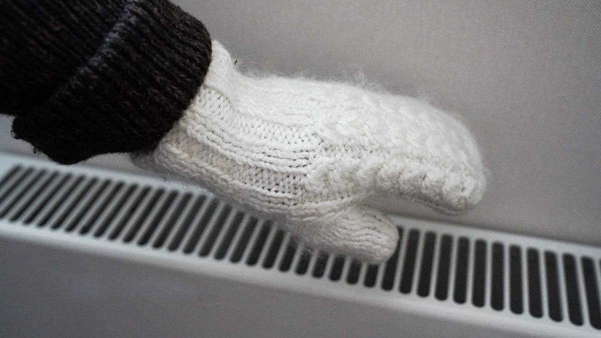    Фото: Пелагия Тихонова / АГН Москва