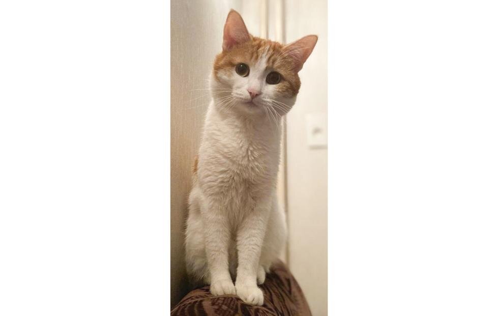 Беги по Радуге, малыш... 