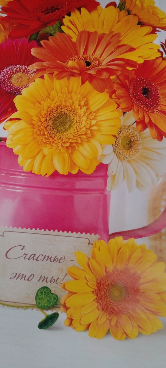 Все чего ты желаешь обязательно сбудется. Афоризмы про желания. Чем больше у вас будет желаний тем больше их сбудется. Вселенная тебе поможет. Цитаты про мечты и желания.