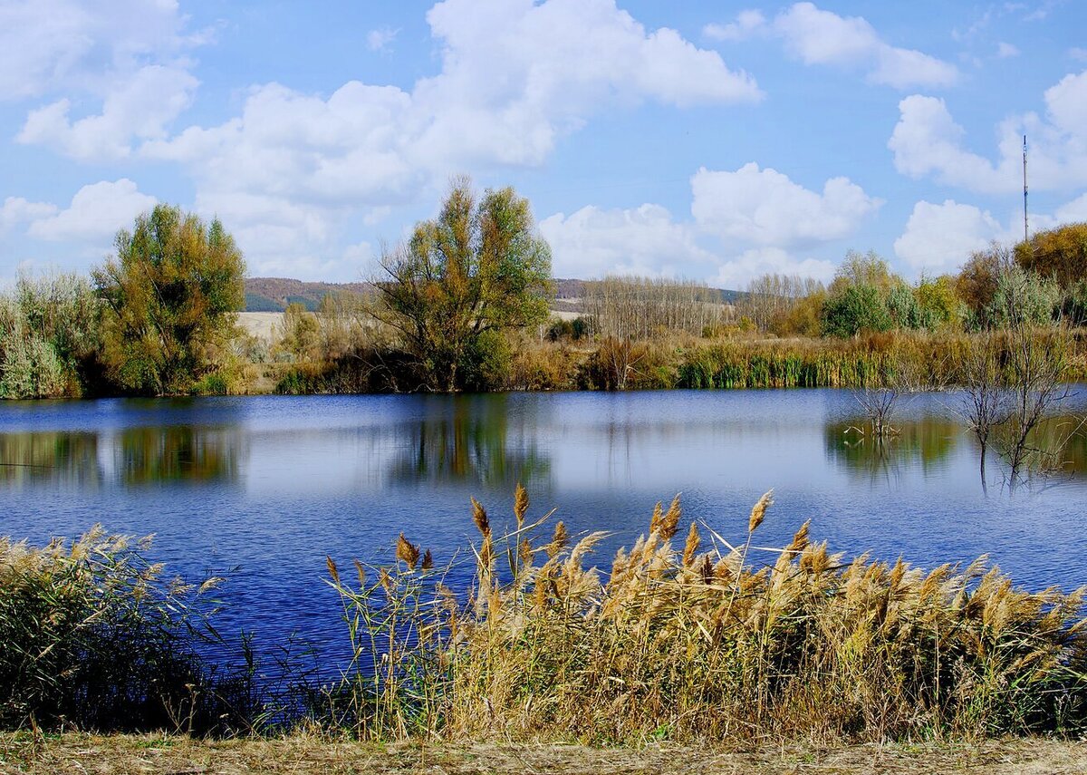 Разнообразие природы родного края ставропольский край