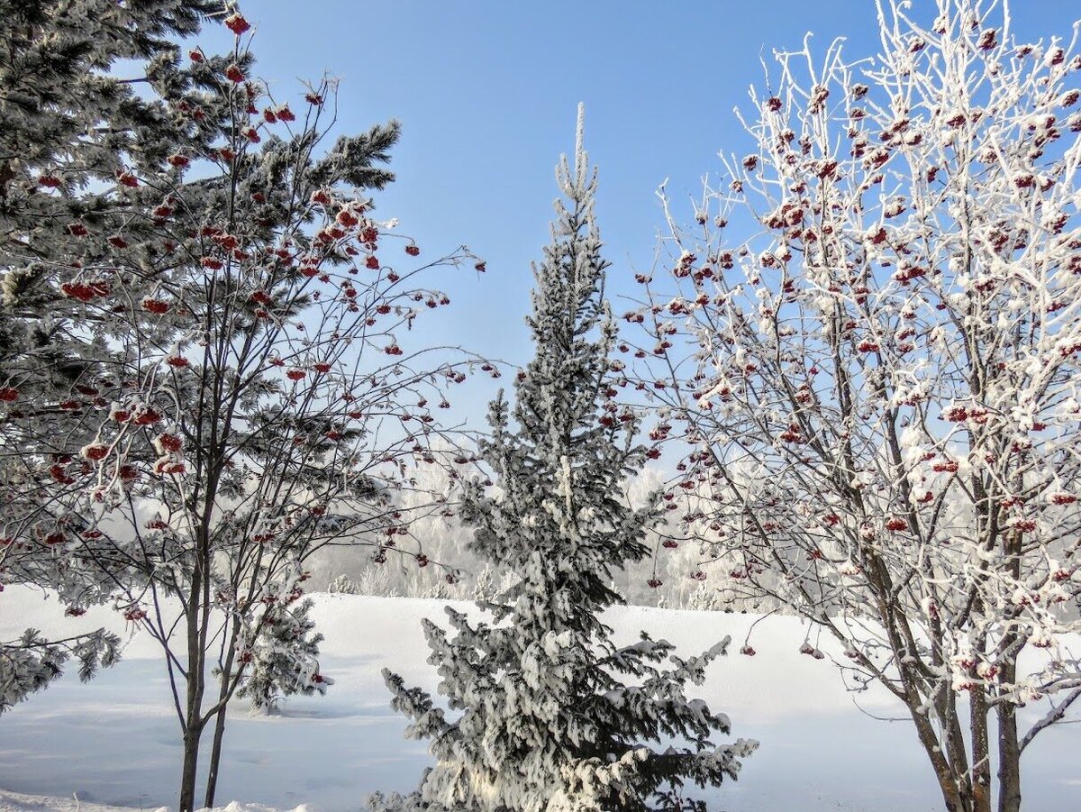 Красивых снов. К чему снится солнечный день. Слепит глаза солнце арт. Солнце рассвет. К чему снится солнечный день.