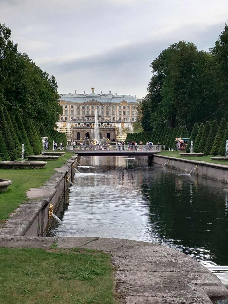 Люблю тебя петра творенье разбор