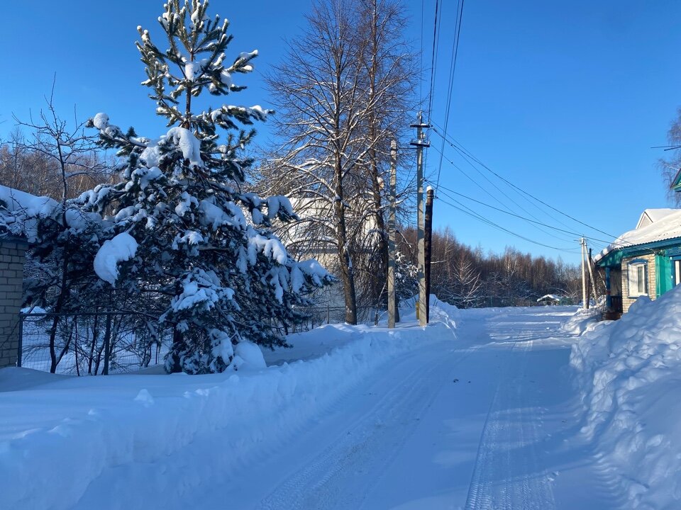 Это ж просто красотааа... Фото автора