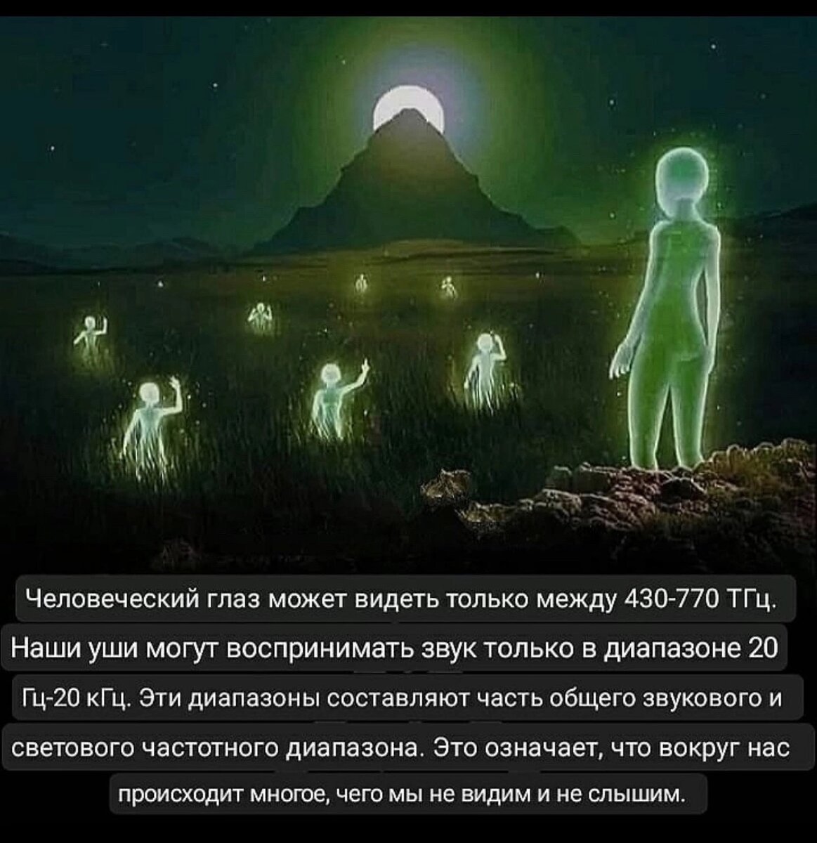 Картинка как раз о том, что «есть много, друг Горацио, на свете того, что нашей мудрости не снилось»…