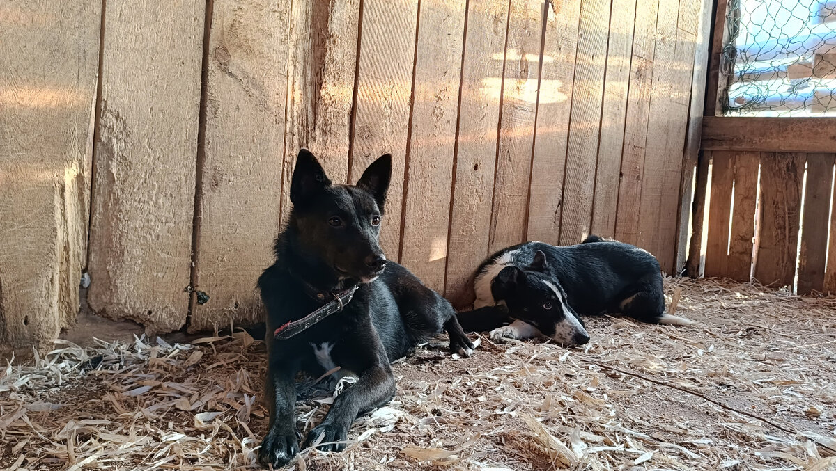 Шаня с Джеем