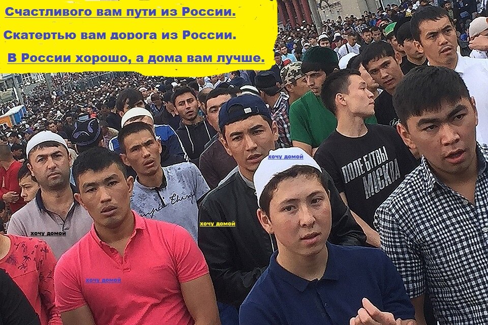 Кругом них