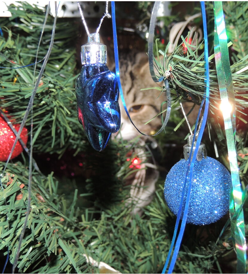 Отличного настроения мотиватор. Вы рыбов продаете мем. Анекдот про киску. Хочешь покажу прекрасное. Хочешь покажу прекрасное.