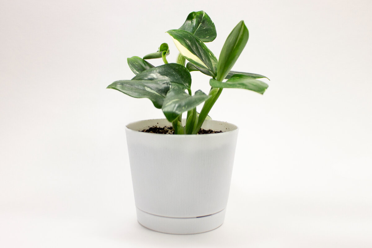 Ну красота же!