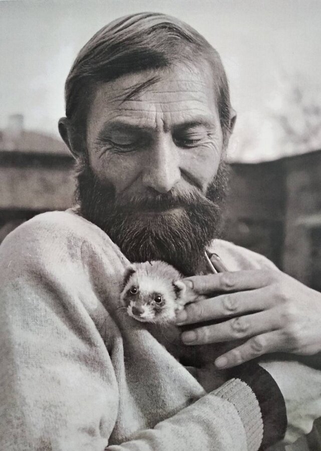    Художник Владимир Парашечкин