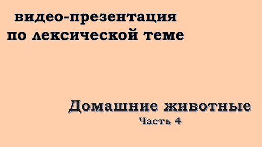 Домашние животные. Часть 4.