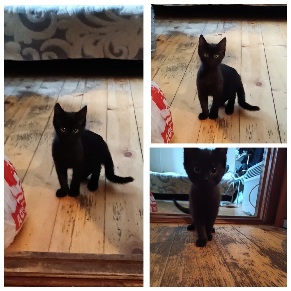 песня я иду на пролом. я иду на пролом позади милый дом текст. я иду на пролом. недосказанность фото. я иду на пролом позади милый дом текст.