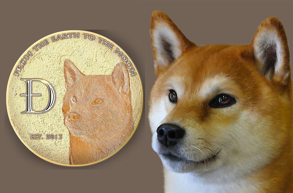 Мемкоины это. Монета догикоин. Монета криптовалюты догикоин.. Сиба-ину Dogecoin. Shiba Inu монета.