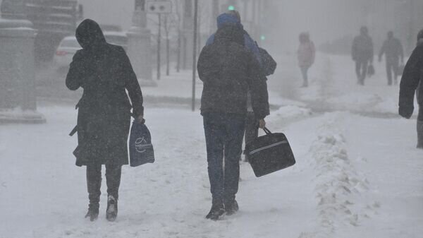    © Sputnik / Виктор Толочко