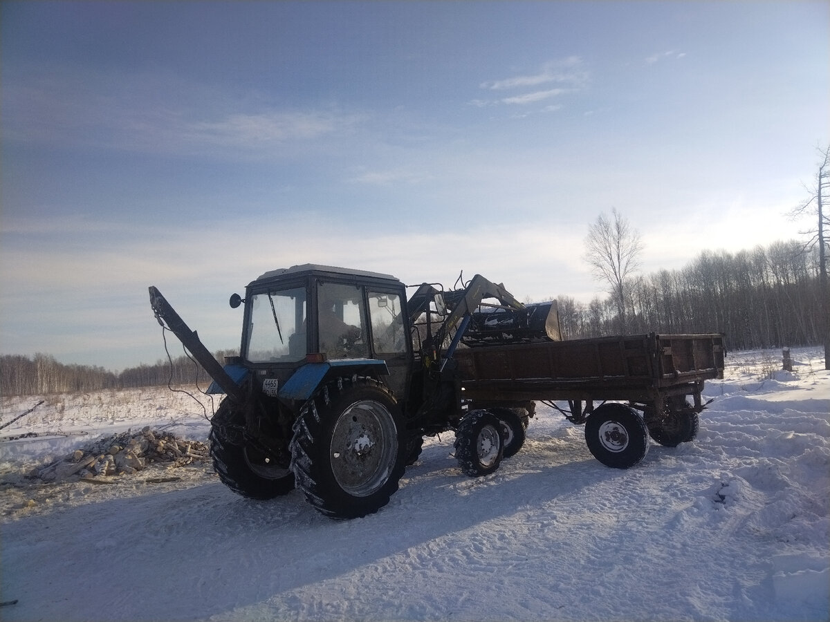 Заблудился в лесу. Путешественник в лесу. Заблудился в лесу. Потерялся в лесу. Живём в лесу.