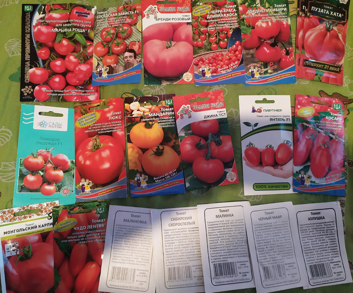 Мои покупки