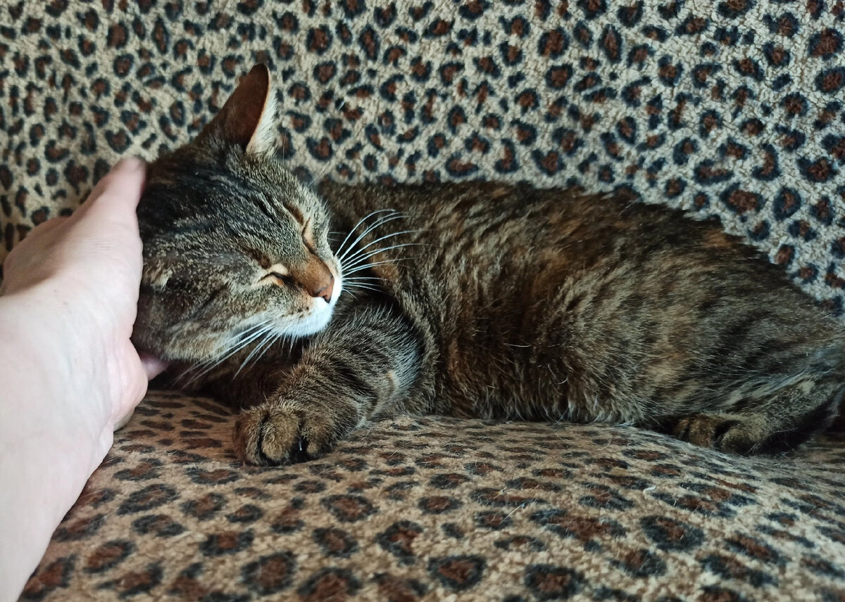 Грустно идти домой. По тихой грусти иду домой. По тихой грусти иду домой. Серёга русские идут домой. Грустно идти домой.