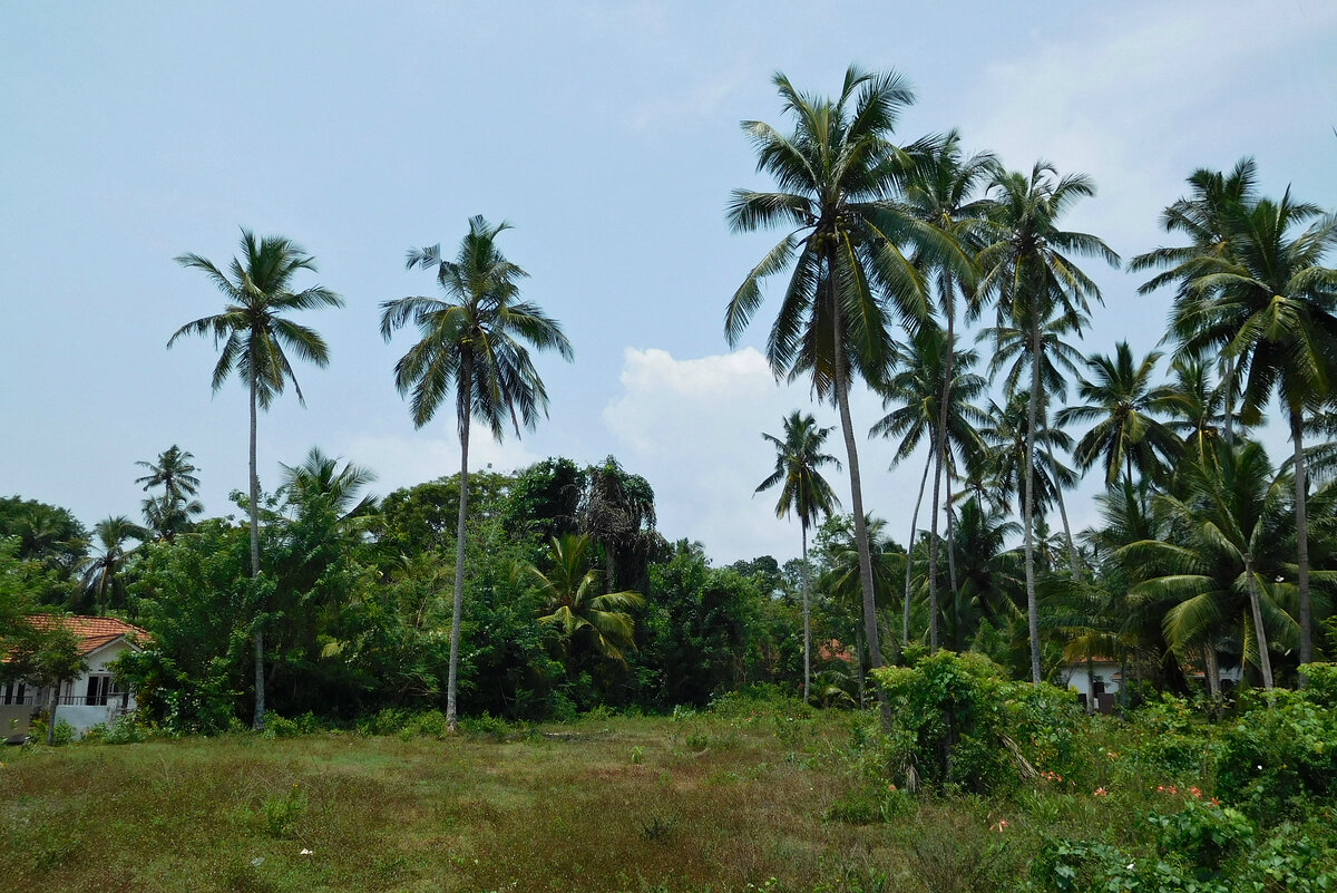 Изумрудный остров