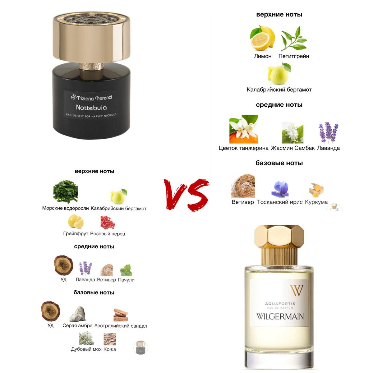 Коллаж сделан с использованием материалов сайта https://www.fragrantica.ru