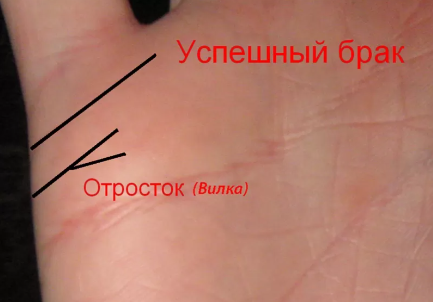 линия брака на руке. хрестоматия по руке линия брака. линия брака на руке. линия брака. линия брака пересечена.