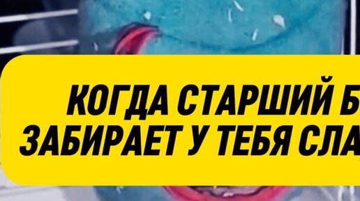 старший брат рассказ на дзен глава 16. рассказ про брата. старший брат рассказ на дзен глава 16. манга контроль старшего брата. счастье должно быть тихим дзен.