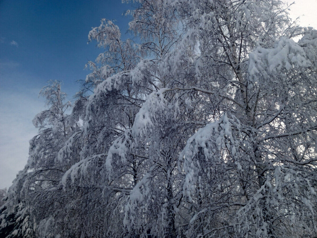 Перевод песни падает снег на русский